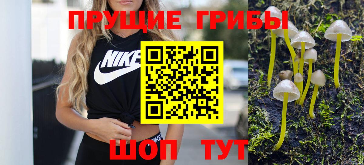 Галлюциногенные грибы прущие грибы Прокопьевск